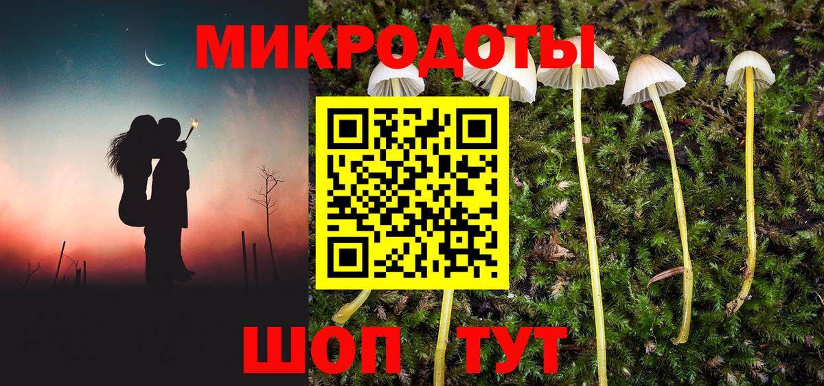 Щёлково  Галлюциногенные грибы ЛСД  Вход с VPN 