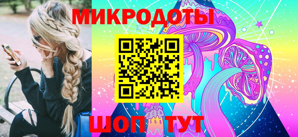 Псилоцибиновые грибы Psilocybe Щёлково